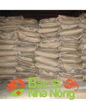 men vi sinh xử lý nước