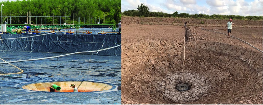 Xi phong đáy ao hồ – Phương pháp loại bỏ chất thải ao nuôi hiệu quả