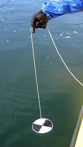 Cách nuôi tảo gây màu nước trong nuôi tôm